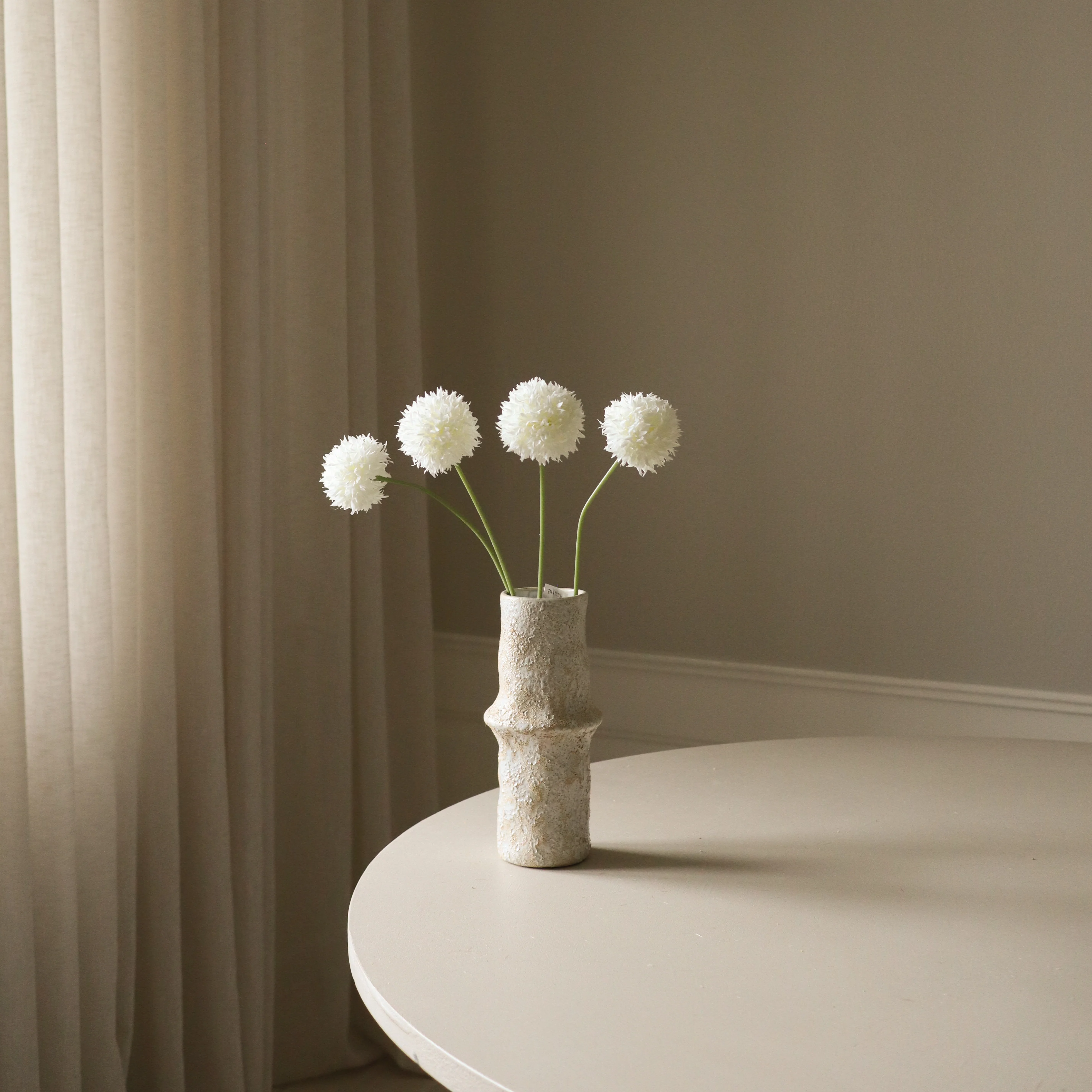 White Allium Bulb - Image 3