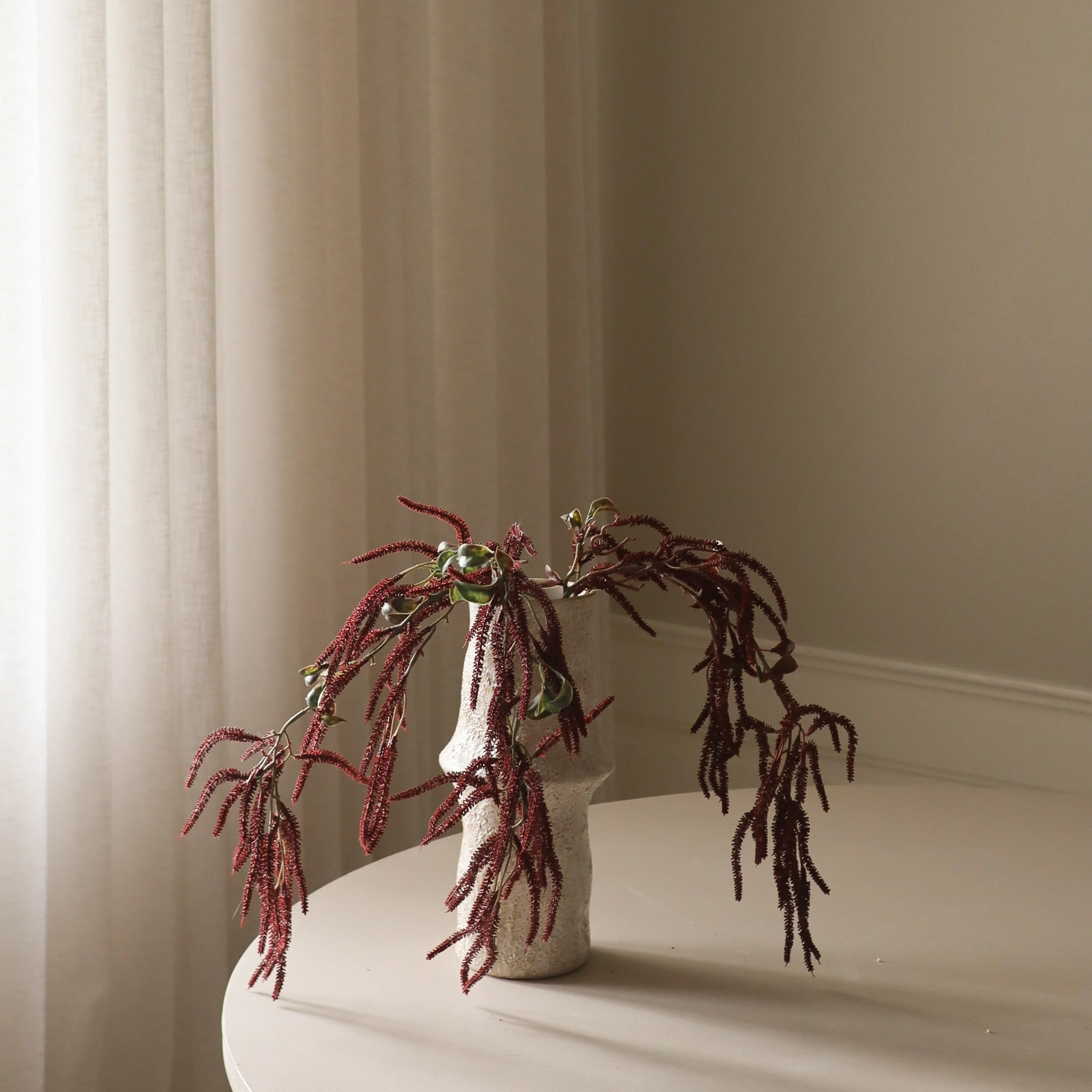 Dark Red Amaranthus Cruentus Flower - Image 3