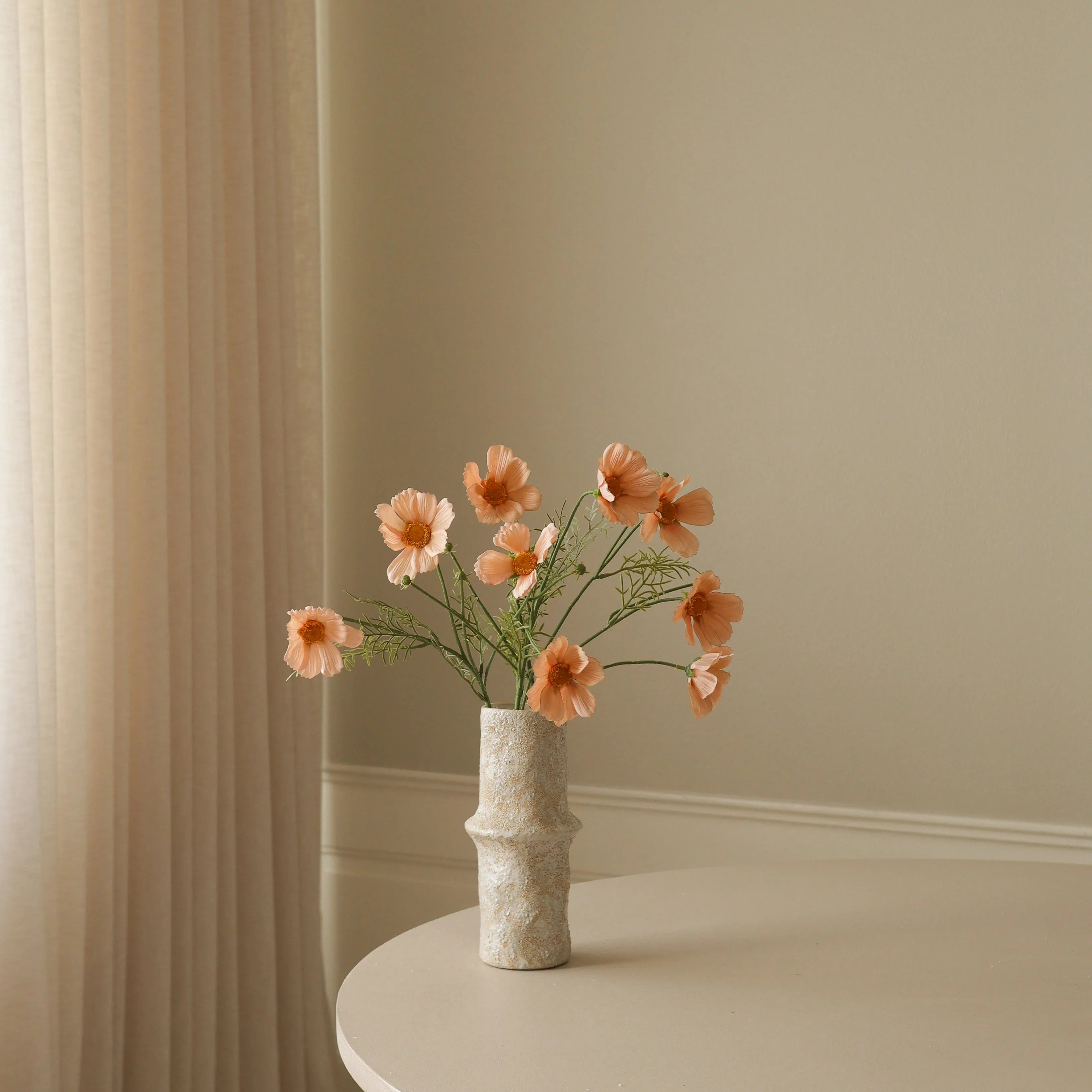 Champagne Cosmo Daisy Flower - Image 3