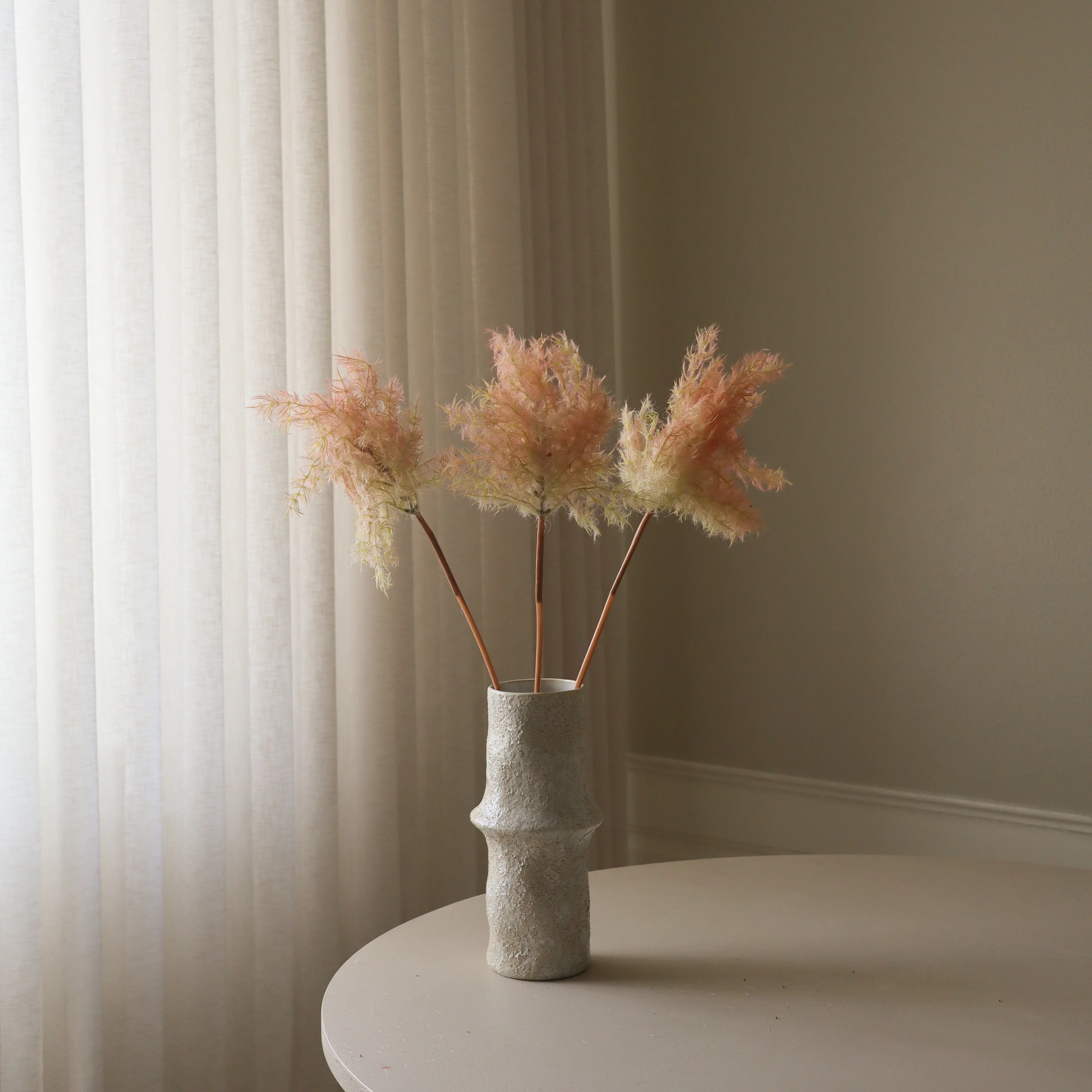 Pink Cotinus Coggygria Young Lady Flower - Image 3