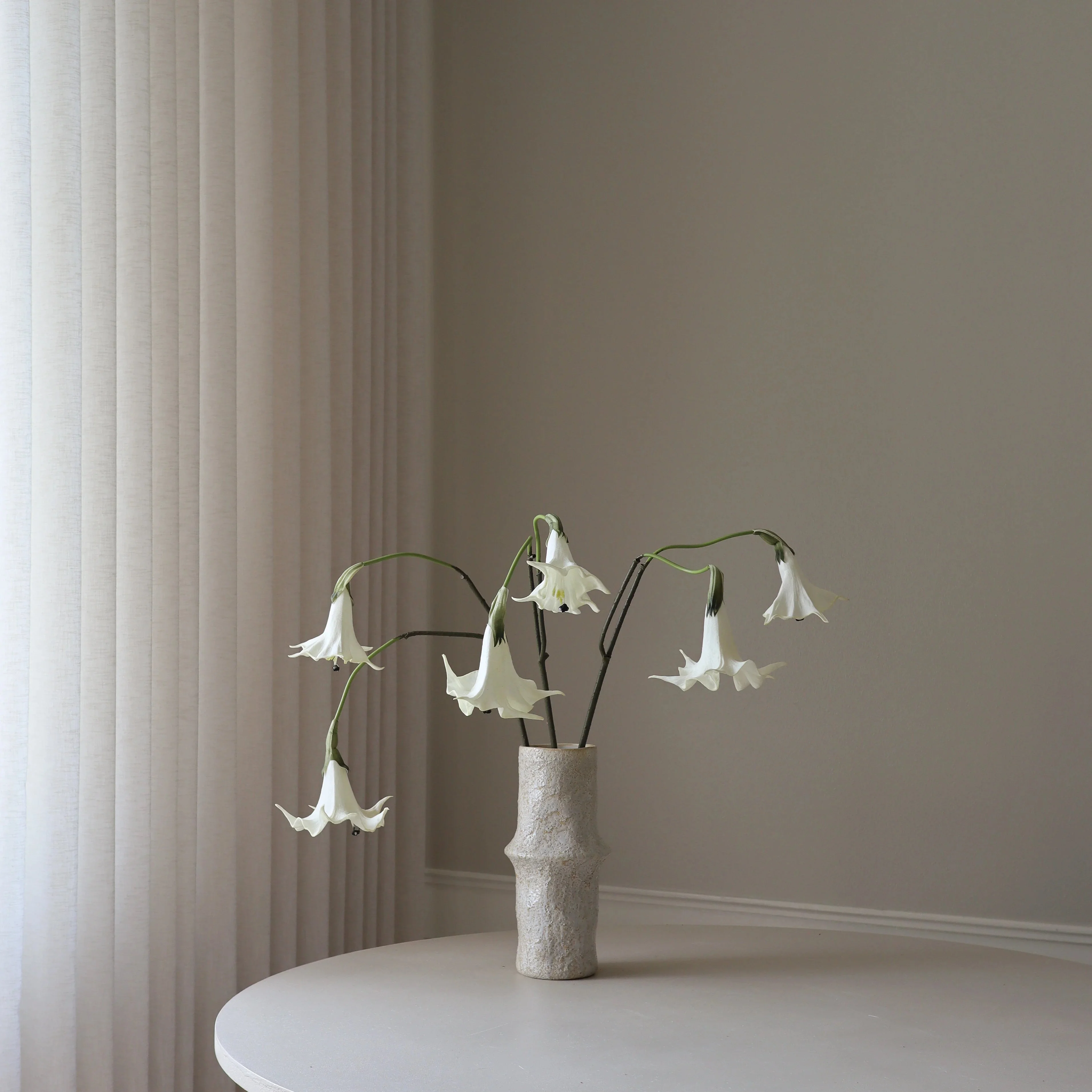 White Datura Stramonium Flower - Image 3