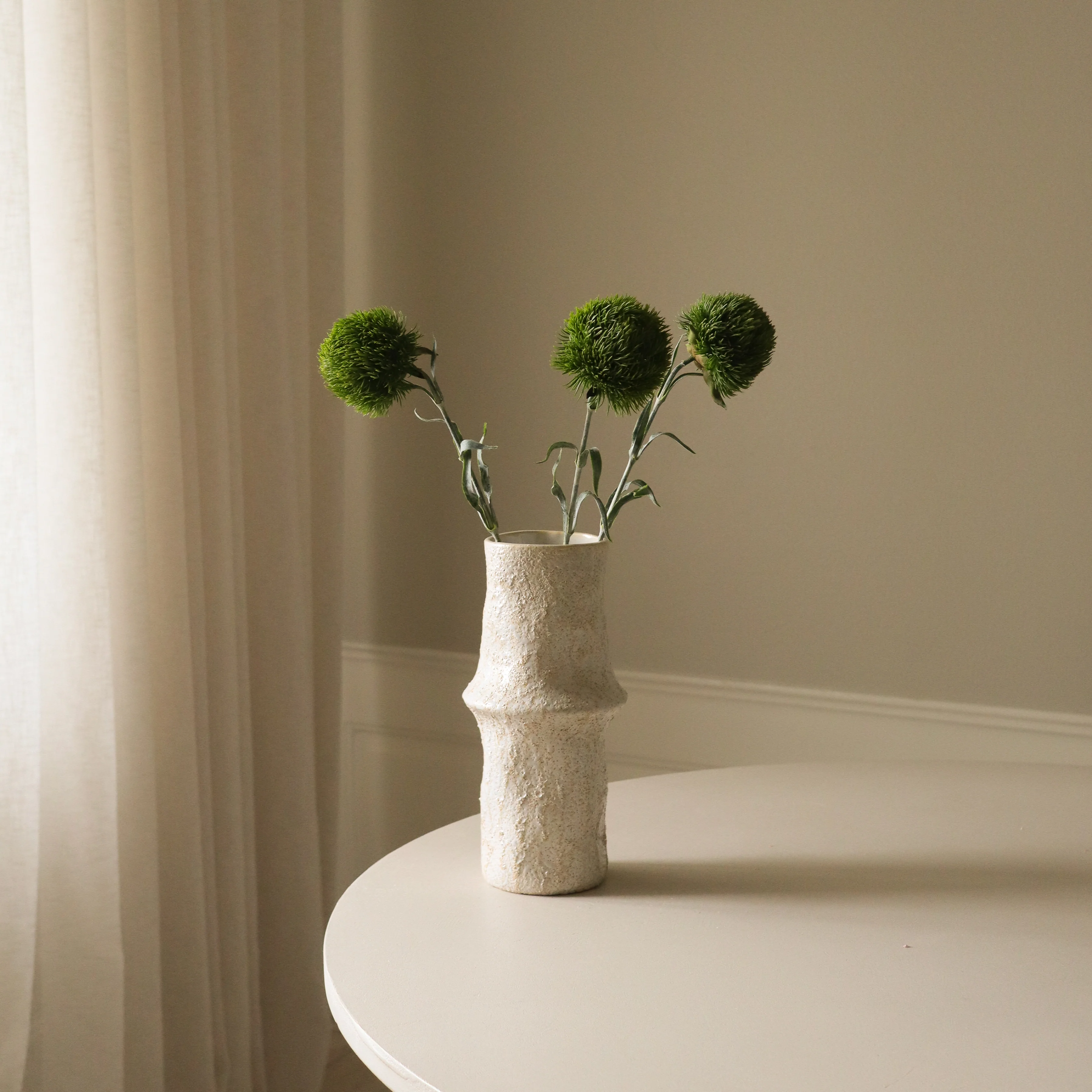 Dark Green Dianthus Barbatus "Green Ball" - Image 3