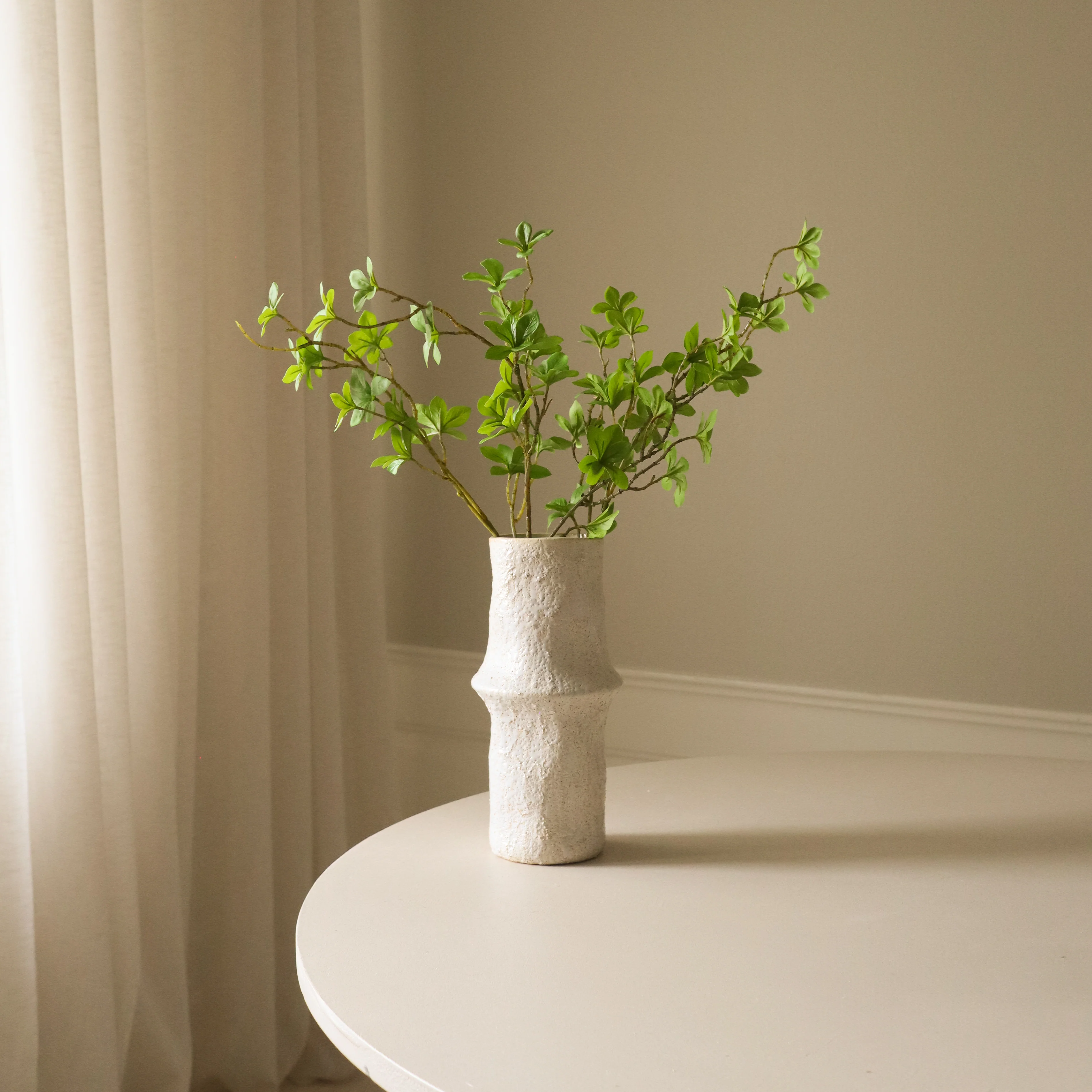 Green Enkianthus Perulatus Leaves - Image 3