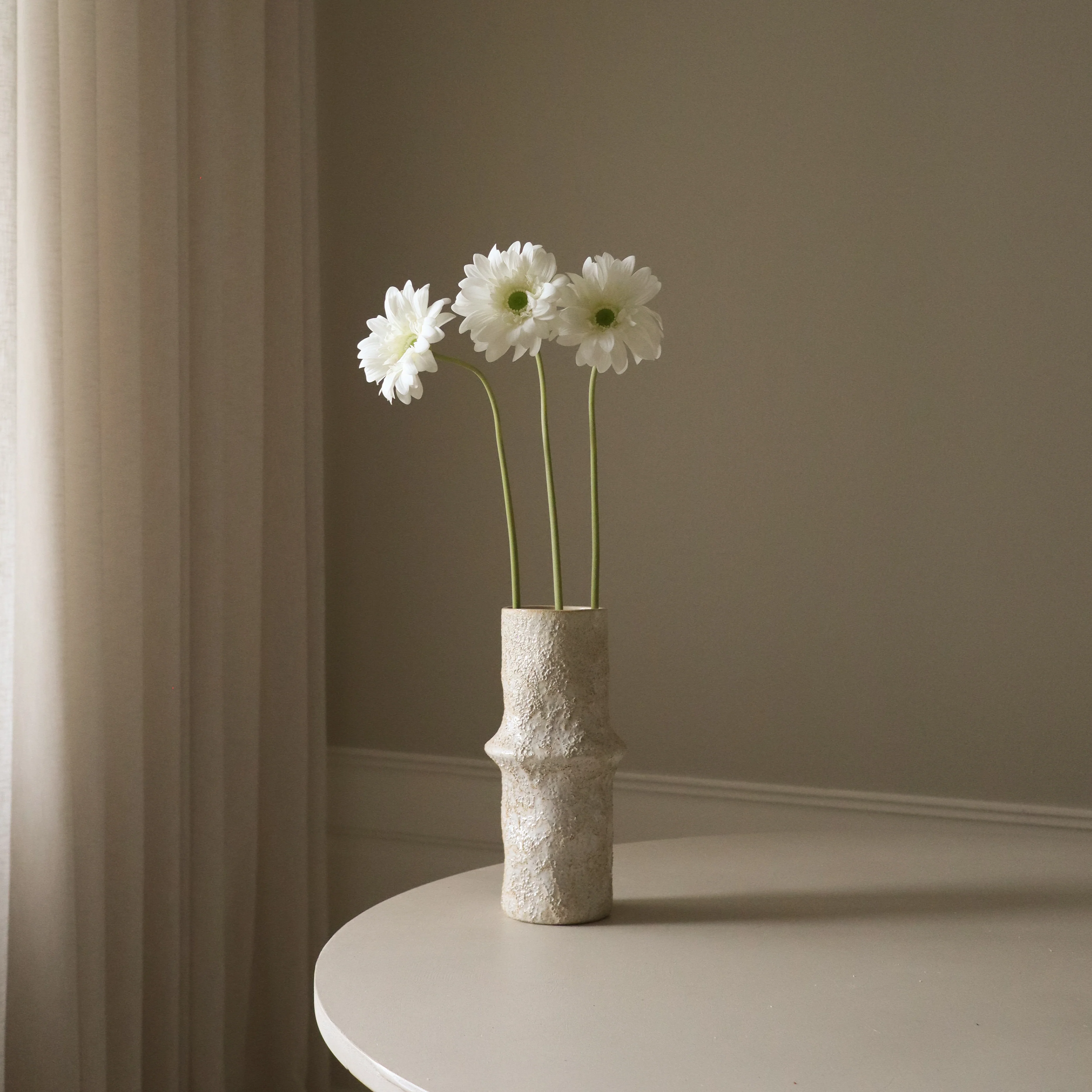 White Gerbera Daisy Flower - Image 3