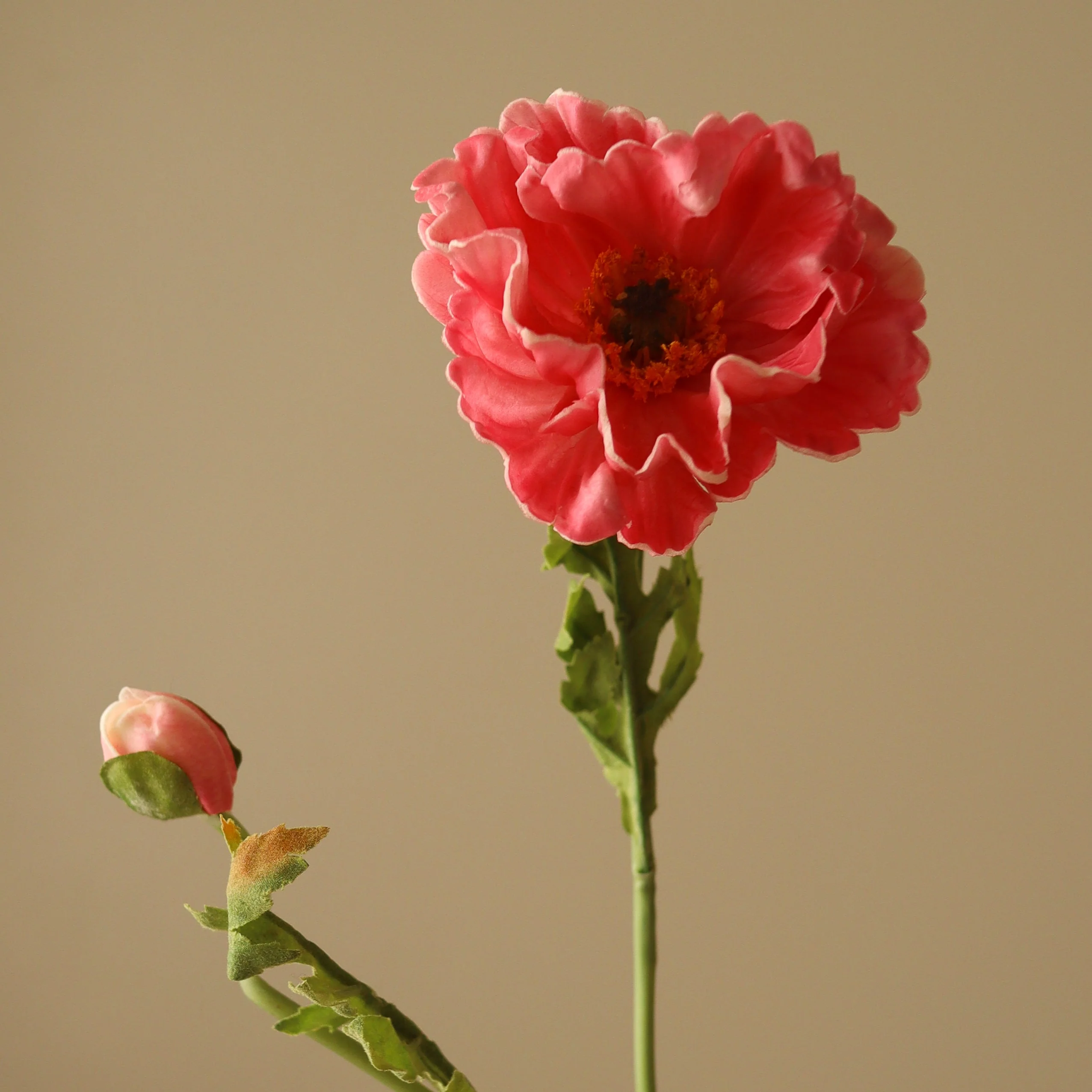Pink Large Poppy Flower - Image 4