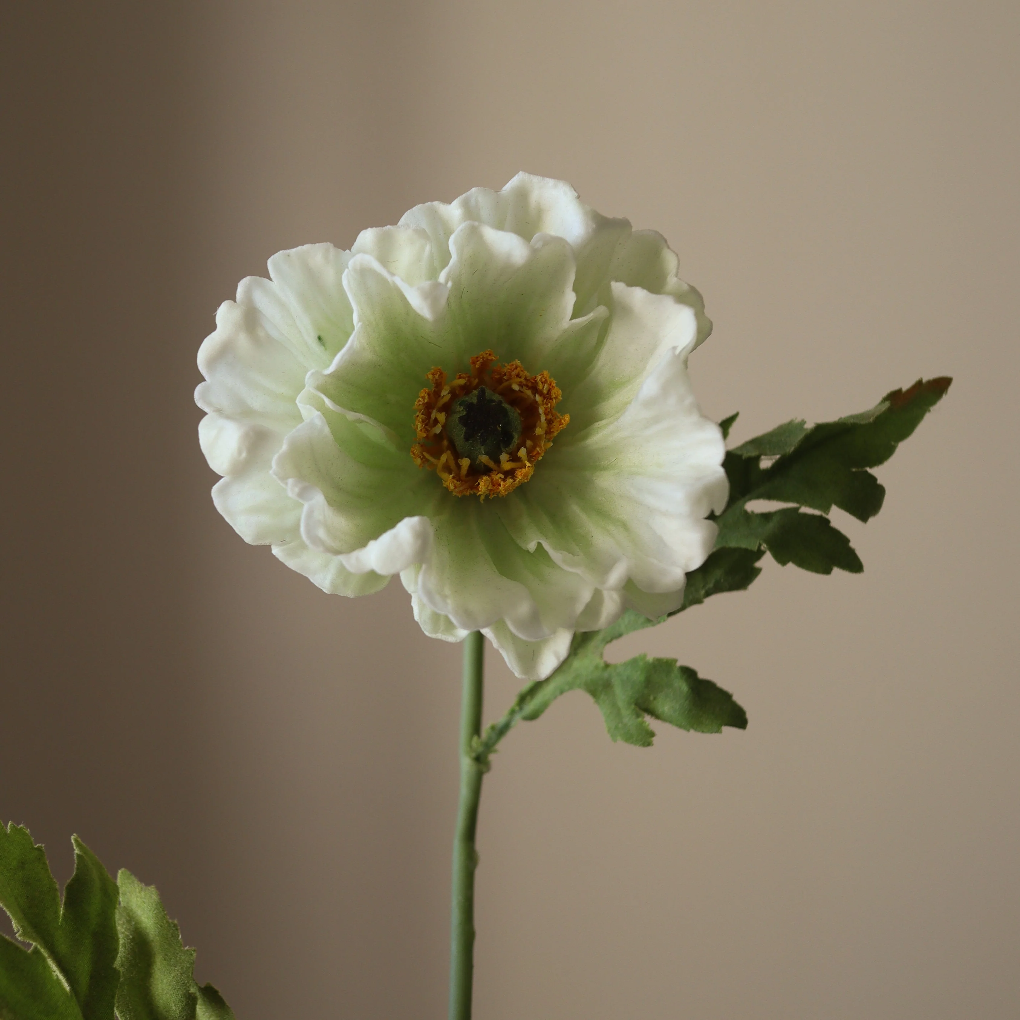 White Large Poppy Flower - Image 4