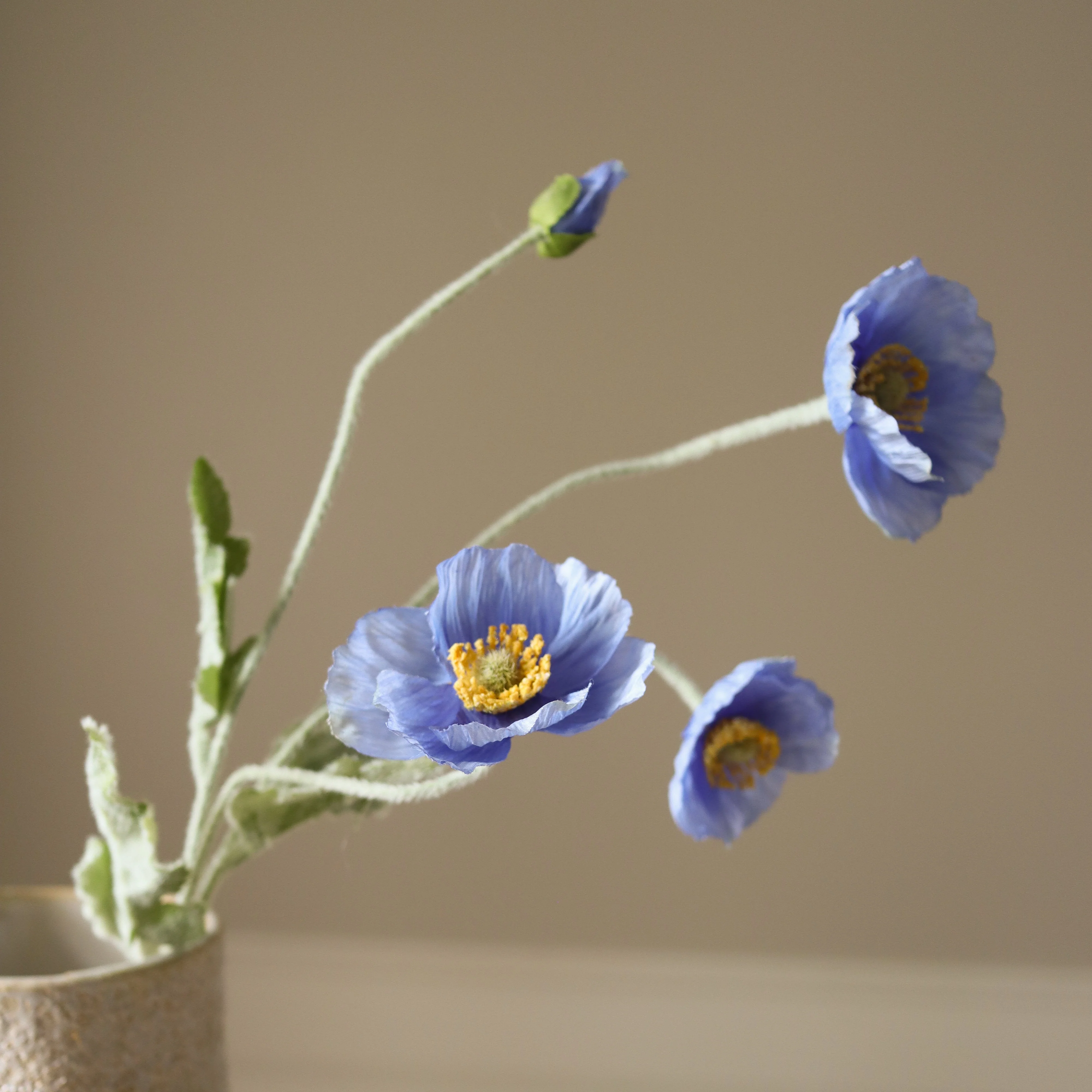 Blue Poppy Flower - Image 4