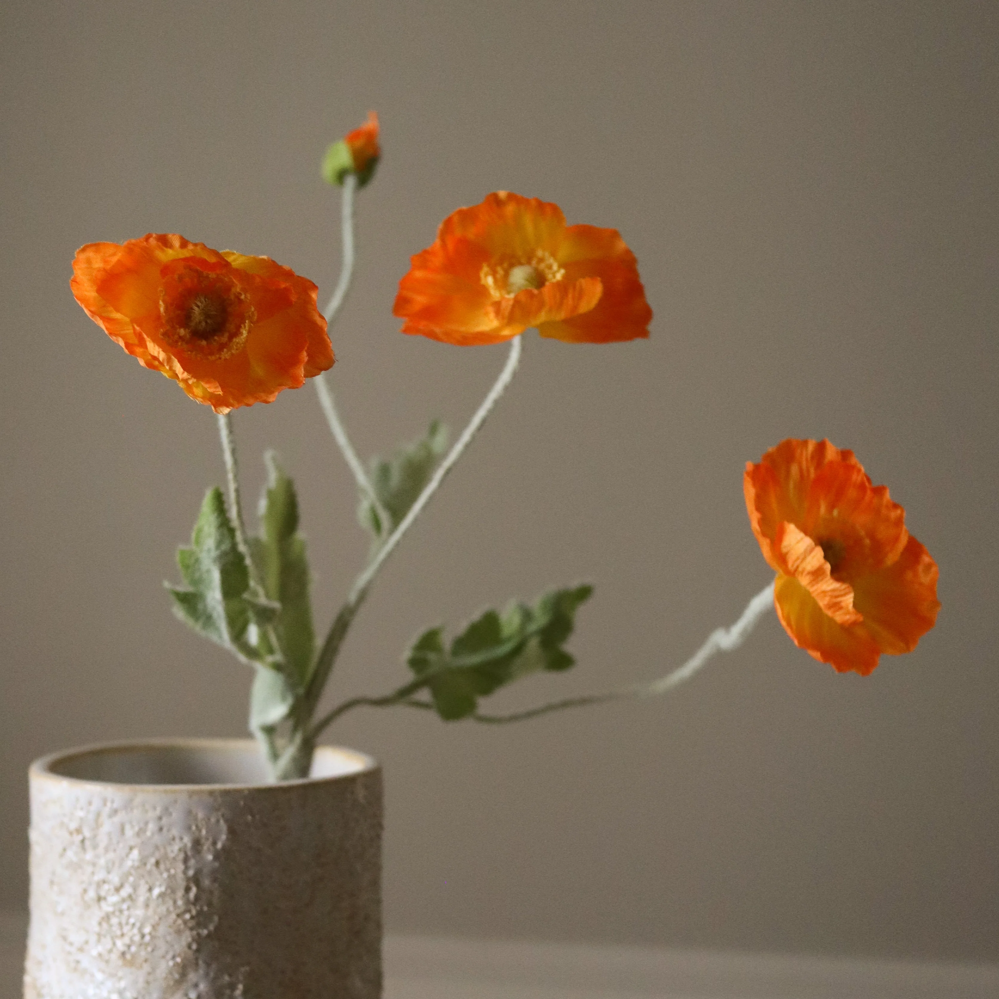 Orange Poppy Flower - Image 3