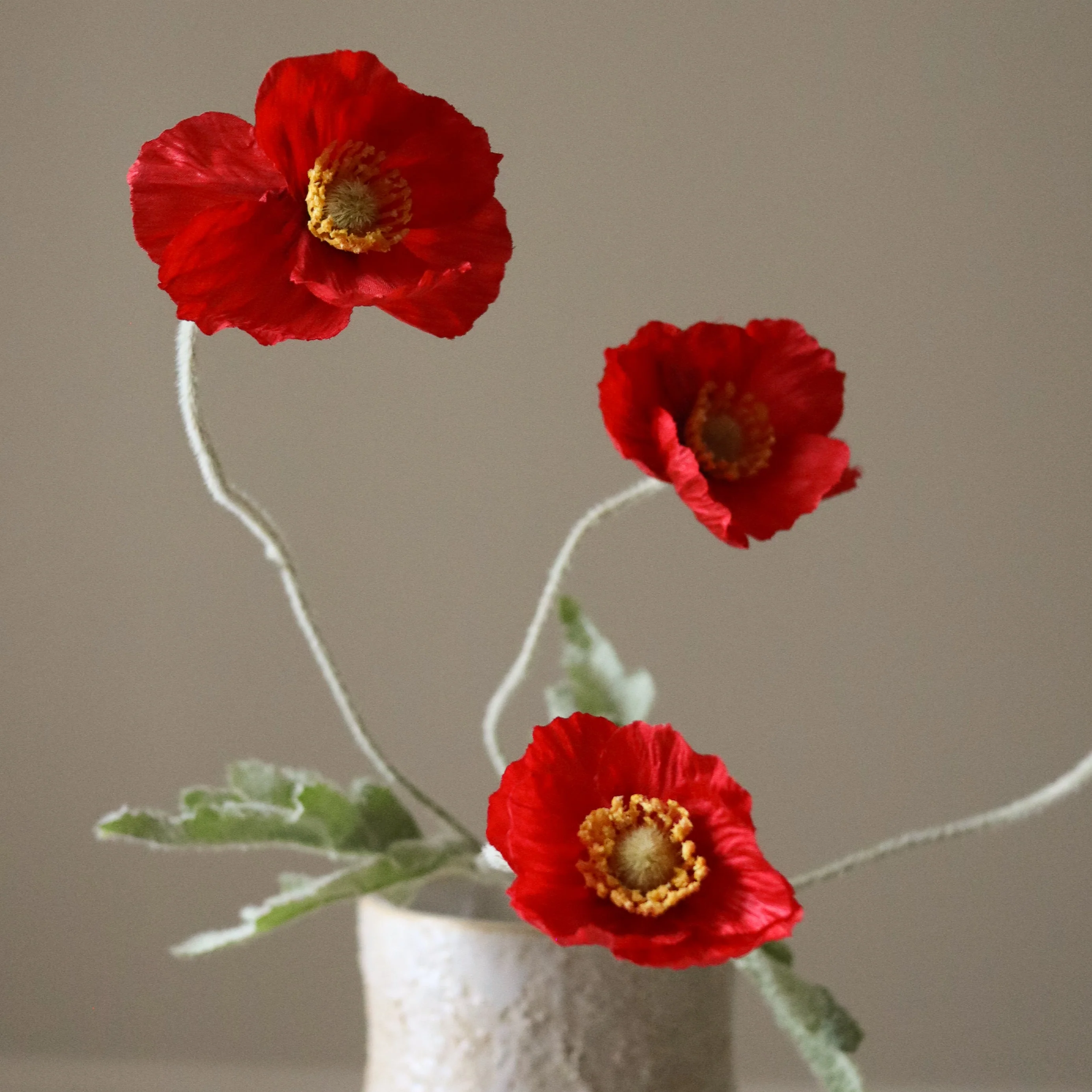 Red Poppy Flower - Image 4
